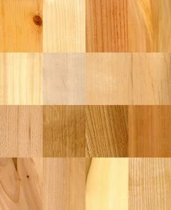 Wood 244x300